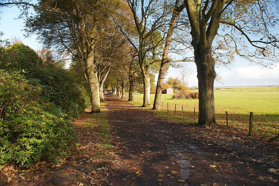 Silverburn Park