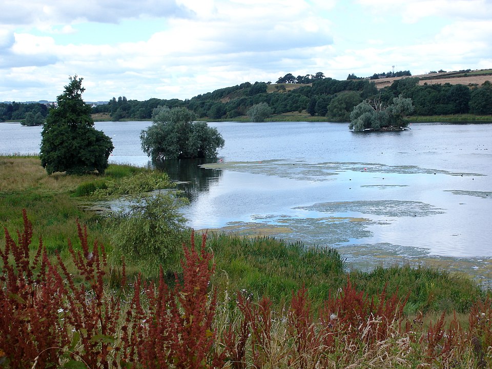 Linlithgow Loch & Palace Circular Walk