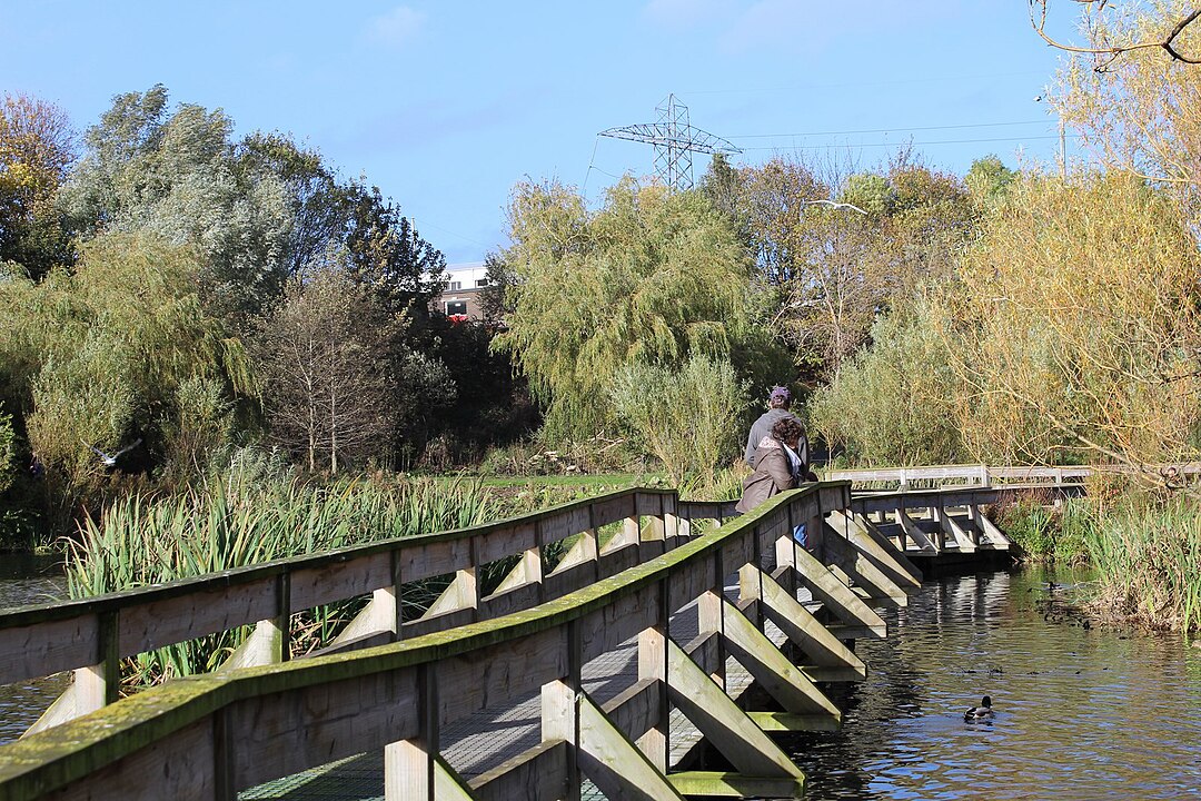 Figgate Park