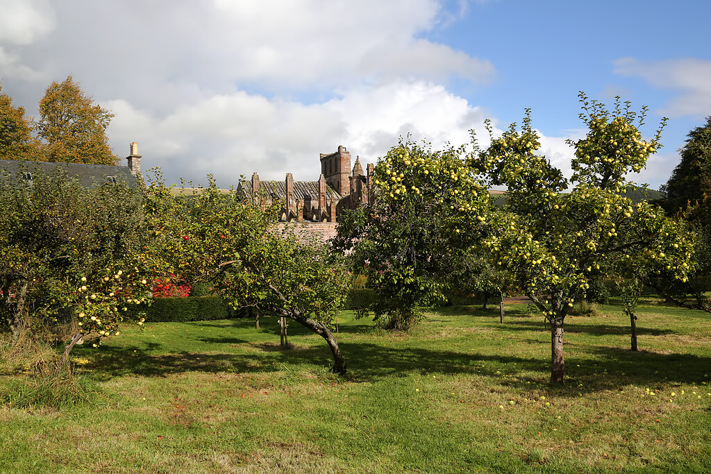 Priorwood Garden