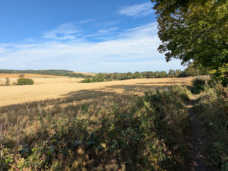 Fordell Woods Circular Walk