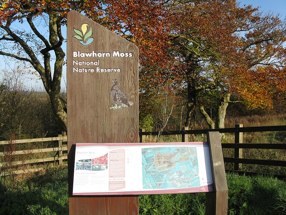 Blawhorn Moss National Nature Reserve